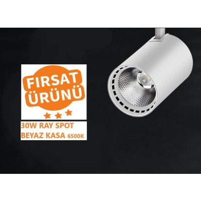 Ledli Ray Spot Beyaz Kasa 30 Watt Beyaz Işık (6500K)
