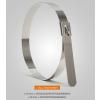 Çetsan Metal Kablo Bağı 7,9x840 100 Adet